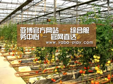 种植基地二