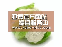 产品名称九